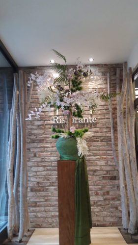 WhatsApp-Image-2026-03-07-at-11.30.13